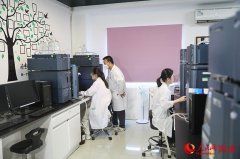 持续引进、日本高端海归手艺